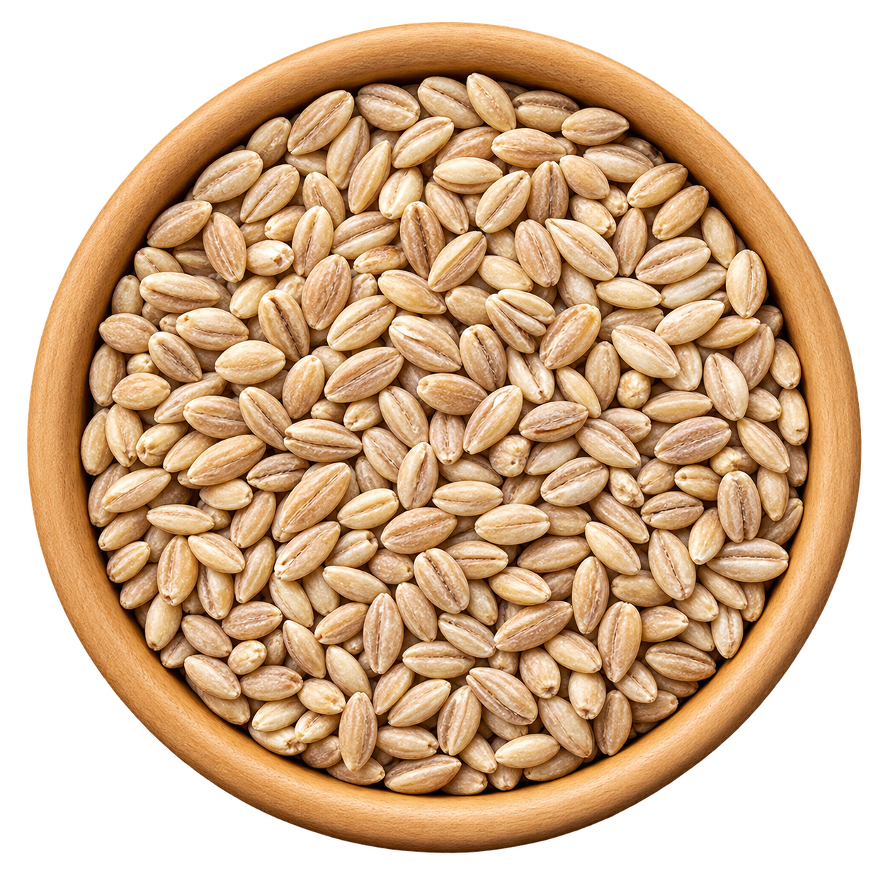 BARLEY