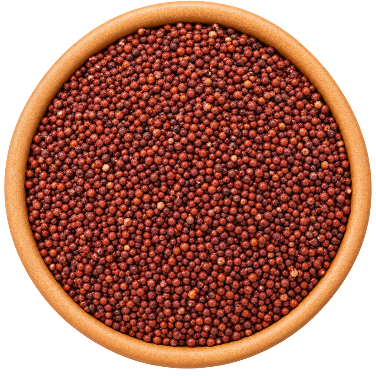 RAGI