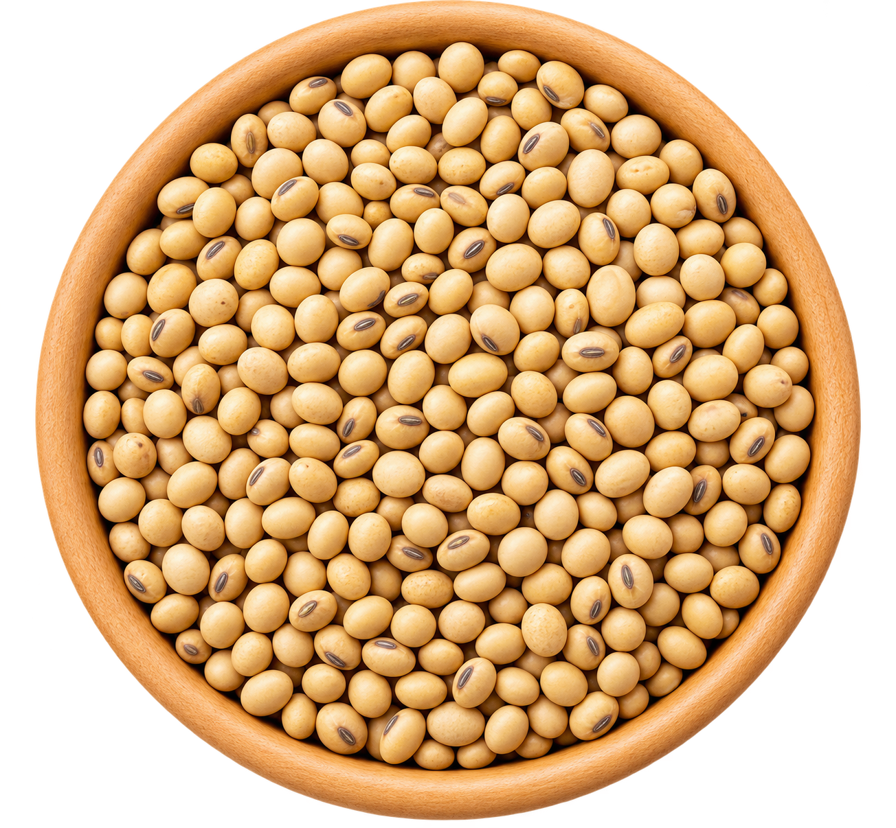 SOYABEAN