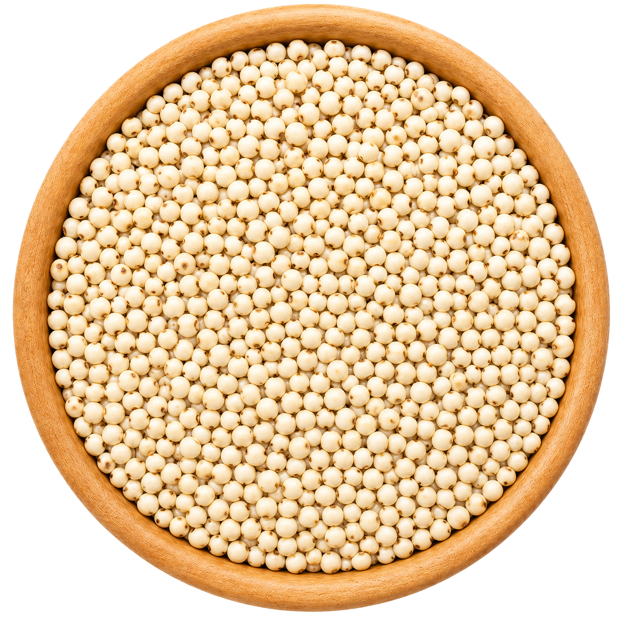 WHITE JOWAR
